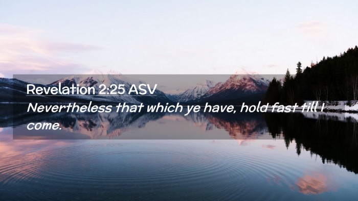 Picture 02 - Revelation 2:25 ASV Desktop Wallpaper - Nevertheless that which ye have, hold fast till I - Desktop Bible Verse Wallpaper