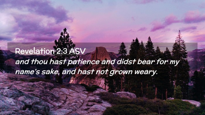 Picture 02 - Revelation 2:3 ASV Desktop Wallpaper - and thou hast patience and didst bear for my - Desktop Bible Verse Wallpaper