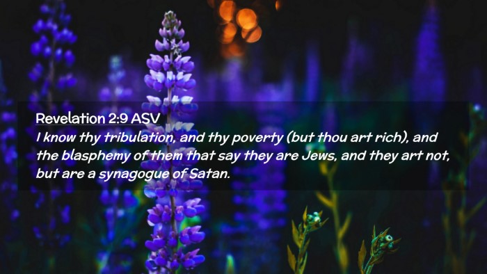 Picture 02 - Revelation 2:9 ASV Desktop Wallpaper - I know thy tribulation, and thy poverty (but thou - Desktop Bible Verse Wallpaper