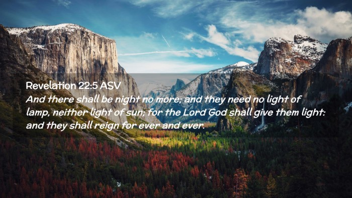 Picture 02 - Revelation 22:5 ASV Desktop Wallpaper - And there shall be night no more; and they need - Desktop Bible Verse Wallpaper