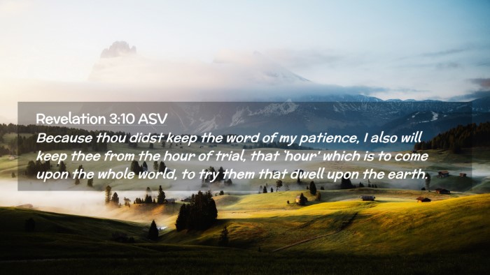 Picture 02 - Revelation 3:10 ASV Desktop Wallpaper - Because thou didst keep the word of my patience, - Desktop Bible Verse Wallpaper