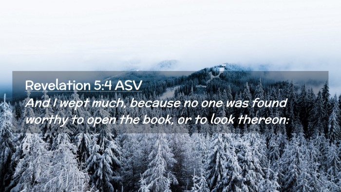 Picture 02 - Revelation 5:4 ASV Desktop Wallpaper - And I wept much, because no one was found worthy - Desktop Bible Verse Wallpaper