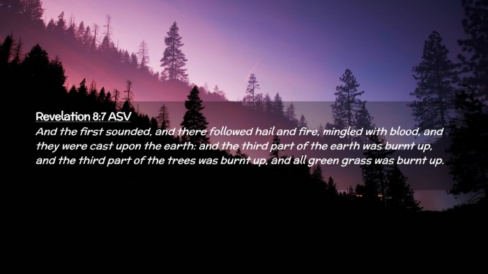 Picture 02 - Revelation 8:7 ASV Desktop Wallpaper - And the first sounded, and there followed hail - Desktop Bible Verse Wallpaper