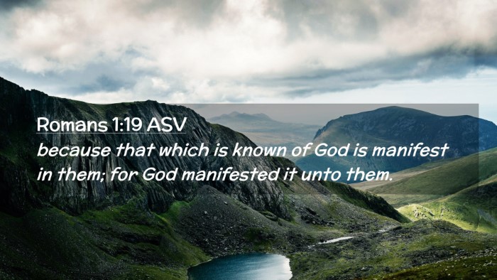 Picture 02 - Romans 1:19 ASV Desktop Wallpaper - because that which is known of God is manifest in - Desktop Bible Verse Wallpaper