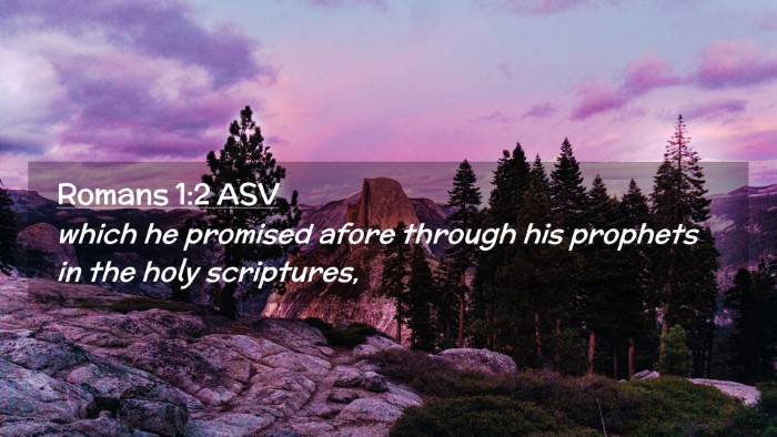 Picture 02 - Romans 1:2 ASV Desktop Wallpaper - which he promised afore through his prophets in - Desktop Bible Verse Wallpaper