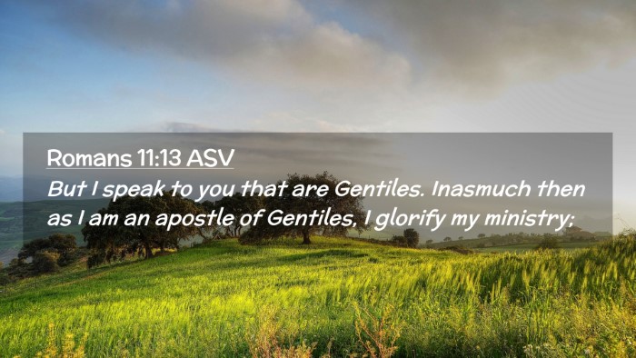 Picture 02 - Romans 11:13 ASV Desktop Wallpaper - But I speak to you that are Gentiles. Inasmuch - Desktop Bible Verse Wallpaper