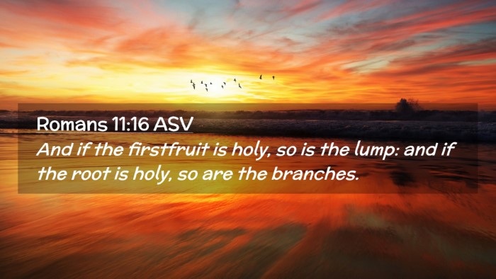 Picture 02 - Romans 11:16 ASV Desktop Wallpaper - And if the firstfruit is holy, so is the lump: - Desktop Bible Verse Wallpaper