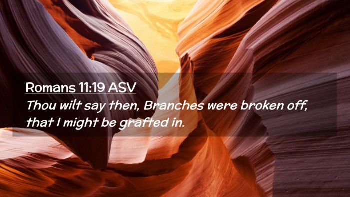 Picture 02 - Romans 11:19 ASV Desktop Wallpaper - Thou wilt say then, Branches were broken off, - Desktop Bible Verse Wallpaper