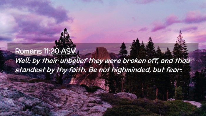 Picture 02 - Romans 11:20 ASV Desktop Wallpaper - Well; by their unbelief they were broken off, and - Desktop Bible Verse Wallpaper
