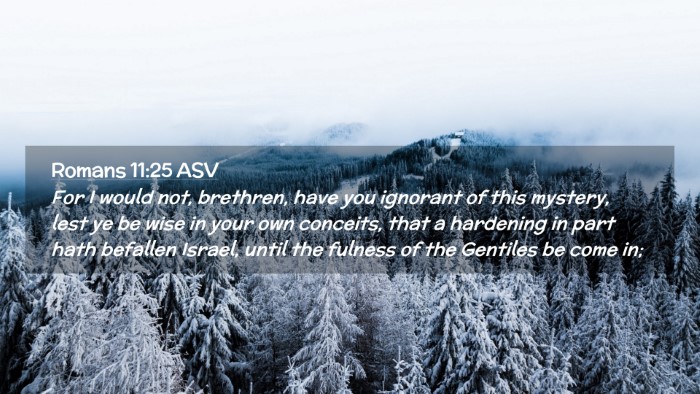 Picture 02 - Romans 11:25 ASV Desktop Wallpaper - For I would not, brethren, have you ignorant of - Desktop Bible Verse Wallpaper