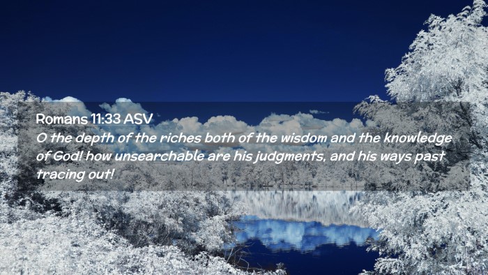 Picture 02 - Romans 11:33 ASV Desktop Wallpaper - O the depth of the riches both of the wisdom and - Desktop Bible Verse Wallpaper