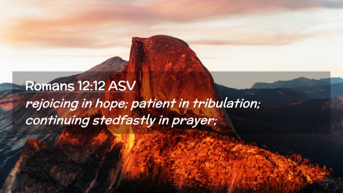 Picture 02 - Romans 12:12 ASV Desktop Wallpaper - rejoicing in hope; patient in tribulation; - Desktop Bible Verse Wallpaper