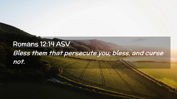 Picture 02 - Romans 12:14 ASV Desktop Wallpaper - Bless them that persecute you; bless, and curse - Desktop Bible Verse Wallpaper