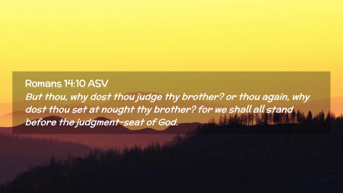 Picture 02 - Romans 14:10 ASV Desktop Wallpaper - But thou, why dost thou judge thy brother? or - Desktop Bible Verse Wallpaper