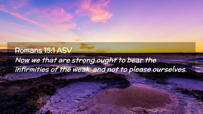 Picture 02 - Romans 15:1 ASV Desktop Wallpaper - Now we that are strong ought to bear the - Desktop Bible Verse Wallpaper