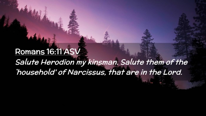 Picture 02 - Romans 16:11 ASV Desktop Wallpaper - Salute Herodion my kinsman. Salute them of the - Desktop Bible Verse Wallpaper
