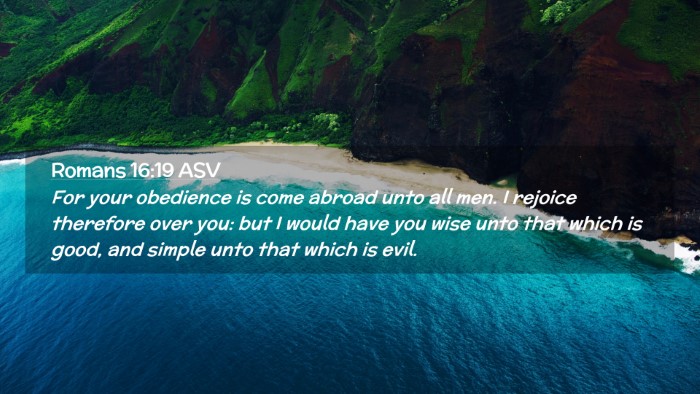 Picture 02 - Romans 16:19 ASV Desktop Wallpaper - For your obedience is come abroad unto all men. I - Desktop Bible Verse Wallpaper