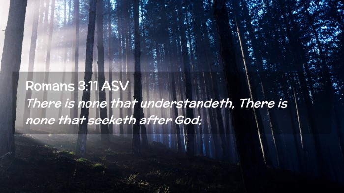 Picture 02 - Romans 3:11 ASV Desktop Wallpaper - There is none that understandeth, There is none - Desktop Bible Verse Wallpaper