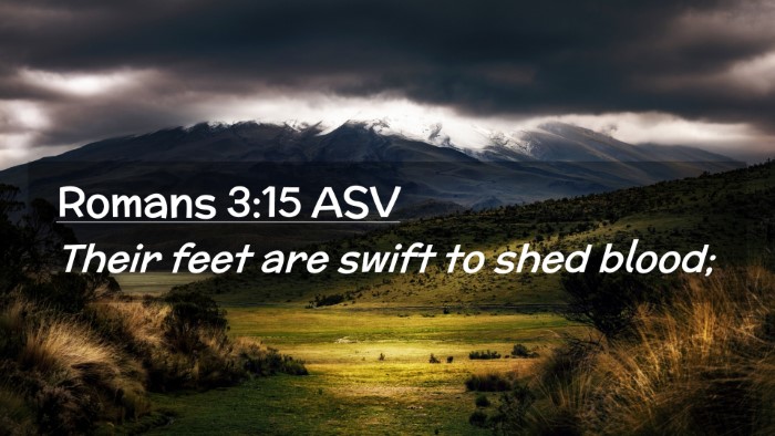 Picture 02 - Romans 3:15 ASV Desktop Wallpaper - Their feet are swift to shed - Desktop Bible Verse Wallpaper