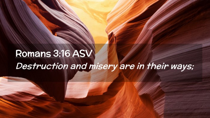 Picture 02 - Romans 3:16 ASV Desktop Wallpaper - Destruction and misery are in their - Desktop Bible Verse Wallpaper