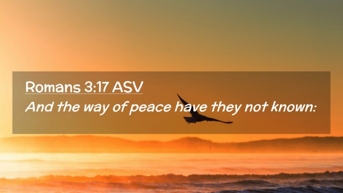 Picture 02 - Romans 3:17 ASV Desktop Wallpaper - And the way of peace have they not - Desktop Bible Verse Wallpaper