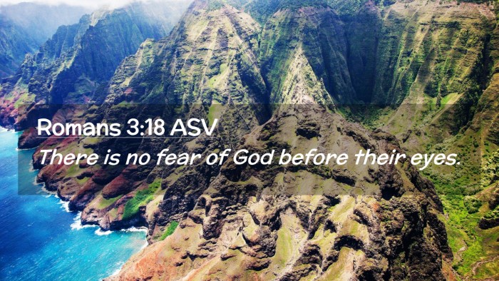 Picture 02 - Romans 3:18 ASV Desktop Wallpaper - There is no fear of God before their - Desktop Bible Verse Wallpaper