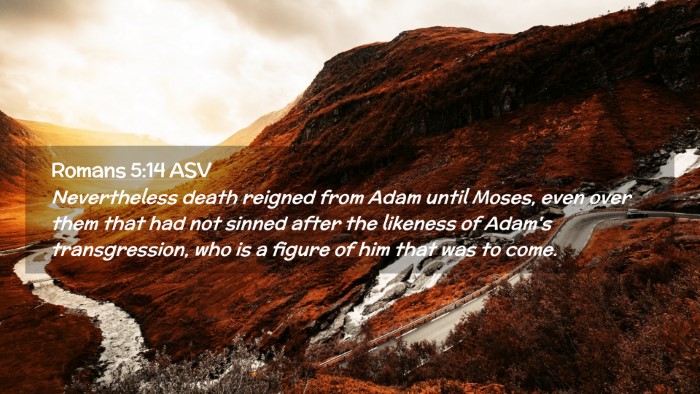 Picture 02 - Romans 5:14 ASV Desktop Wallpaper - Nevertheless death reigned from Adam until Moses, - Desktop Bible Verse Wallpaper