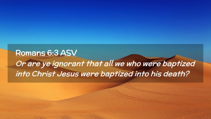 Picture 02 - Romans 6:3 ASV Desktop Wallpaper - Or are ye ignorant that all we who were baptized - Desktop Bible Verse Wallpaper
