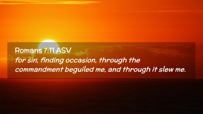 Picture 02 - Romans 7:11 ASV Desktop Wallpaper - for sin, finding occasion, through the - Desktop Bible Verse Wallpaper