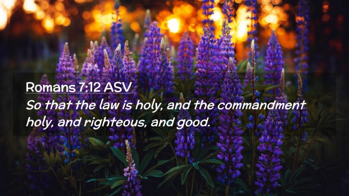 Picture 02 - Romans 7:12 ASV Desktop Wallpaper - So that the law is holy, and the commandment - Desktop Bible Verse Wallpaper