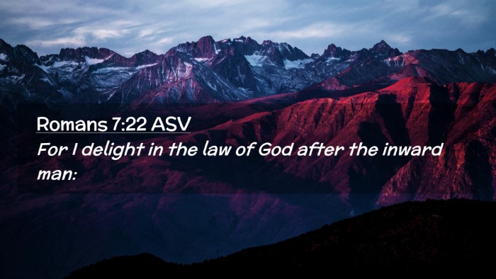 Picture 02 - Romans 7:22 ASV Desktop Wallpaper - For I delight in the law of God after the inward - Desktop Bible Verse Wallpaper