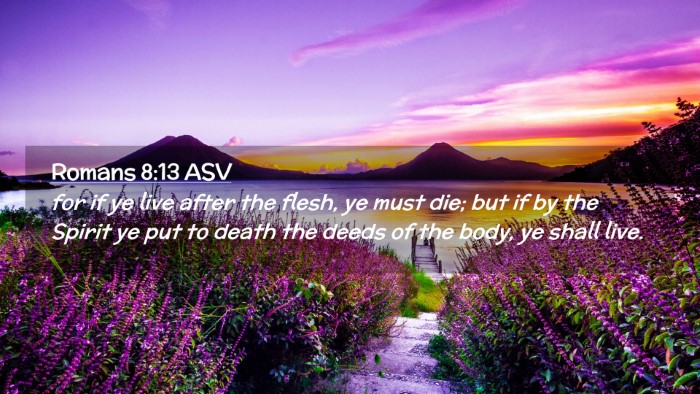Picture 02 - Romans 8:13 ASV Desktop Wallpaper - for if ye live after the flesh, ye must die; but - Desktop Bible Verse Wallpaper