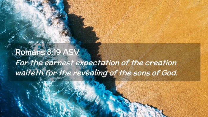 Picture 02 - Romans 8:19 ASV Desktop Wallpaper - For the earnest expectation of the creation - Desktop Bible Verse Wallpaper