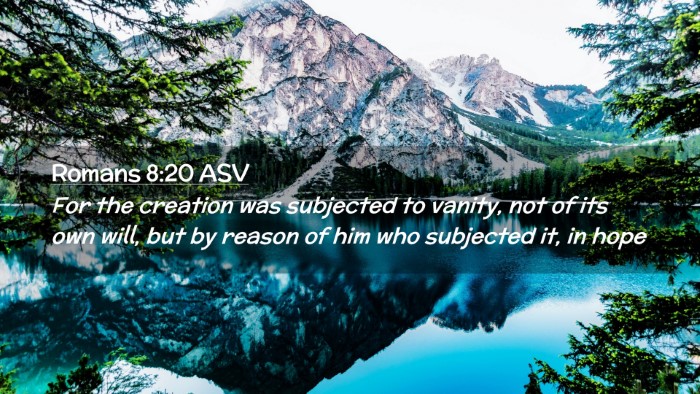 Picture 02 - Romans 8:20 ASV Desktop Wallpaper - For the creation was subjected to vanity, not of - Desktop Bible Verse Wallpaper