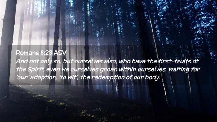 Picture 02 - Romans 8:23 ASV Desktop Wallpaper - And not only so, but ourselves also, who have the - Desktop Bible Verse Wallpaper