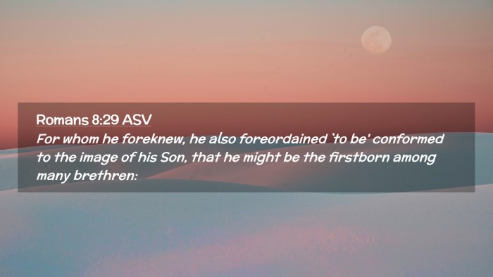Picture 02 - Romans 8:29 ASV Desktop Wallpaper - For whom he foreknew, he also foreordained `to - Desktop Bible Verse Wallpaper