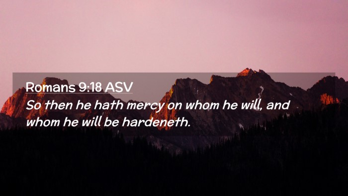 Picture 02 - Romans 9:18 ASV Desktop Wallpaper - So then he hath mercy on whom he will, and whom - Desktop Bible Verse Wallpaper