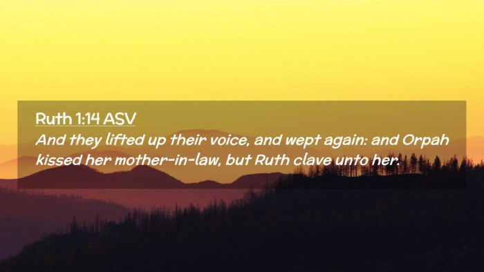 Picture 02 - Ruth 1:14 ASV Desktop Wallpaper - And they lifted up their voice, and wept again: - Desktop Bible Verse Wallpaper