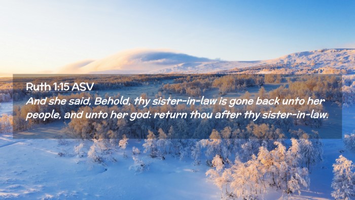 Picture 02 - Ruth 1:15 ASV Desktop Wallpaper - And she said, Behold, thy sister-in-law is gone - Desktop Bible Verse Wallpaper