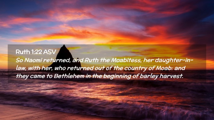 Picture 02 - Ruth 1:22 ASV Desktop Wallpaper - So Naomi returned, and Ruth the Moabitess, her - Desktop Bible Verse Wallpaper