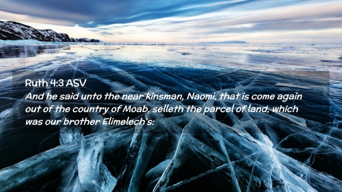 Picture 02 - Ruth 4:3 ASV Desktop Wallpaper - And he said unto the near kinsman, Naomi, that is - Desktop Bible Verse Wallpaper