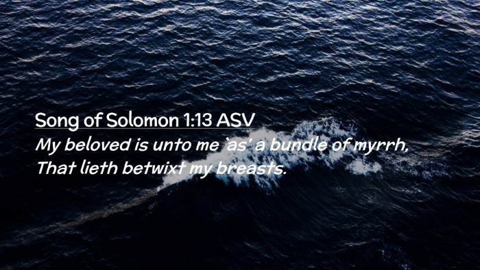 Picture 02 - Song of Solomon 1:13 ASV Desktop Wallpaper - My beloved is unto me `as' a bundle of myrrh, - Desktop Bible Verse Wallpaper