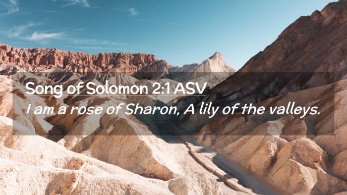 Picture 02 - Song of Solomon 2:1 ASV Desktop Wallpaper - I am a rose of Sharon, A lily of the - Desktop Bible Verse Wallpaper