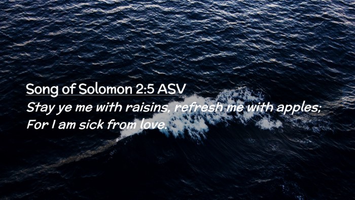 Picture 02 - Song of Solomon 2:5 ASV Desktop Wallpaper - Stay ye me with raisins, refresh me with apples; - Desktop Bible Verse Wallpaper