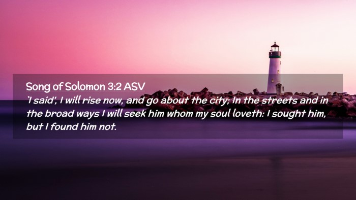Picture 02 - Song of Solomon 3:2 ASV Desktop Wallpaper - `I said', I will rise now, and go about the city; - Desktop Bible Verse Wallpaper
