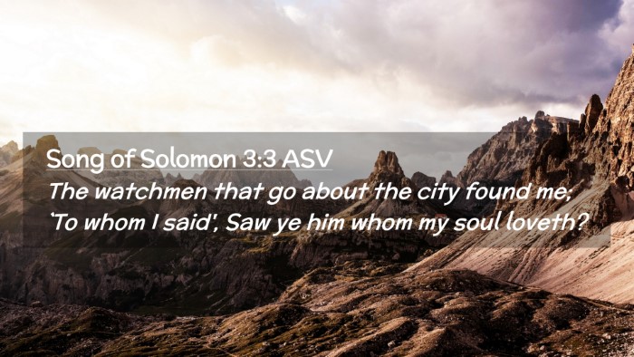 Picture 02 - Song of Solomon 3:3 ASV Desktop Wallpaper - The watchmen that go about the city found me; `To - Desktop Bible Verse Wallpaper