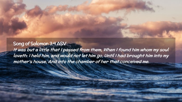 Picture 02 - Song of Solomon 3:4 ASV Desktop Wallpaper - It was but a little that I passed from them, When - Desktop Bible Verse Wallpaper