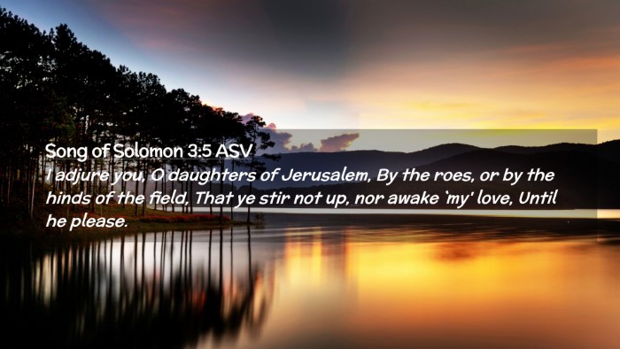 Picture 02 - Song of Solomon 3:5 ASV Desktop Wallpaper - I adjure you, O daughters of Jerusalem, By the - Desktop Bible Verse Wallpaper