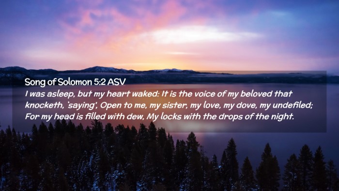 Picture 02 - Song of Solomon 5:2 ASV Desktop Wallpaper - I was asleep, but my heart waked: It is the voice - Desktop Bible Verse Wallpaper