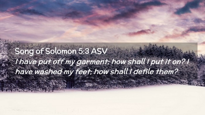Picture 02 - Song of Solomon 5:3 ASV Desktop Wallpaper - I have put off my garment; how shall I put it on? - Desktop Bible Verse Wallpaper